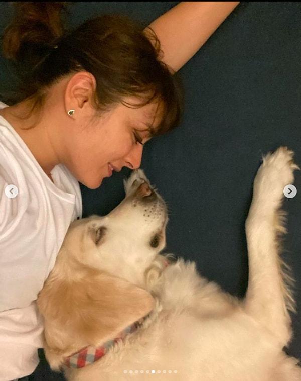 Daha önce köpeği Suşi'yi kaybetmenin acısıyla sarsılan Mola, bir süredir hasta olan köpeği Kuki'yi de kaybettiğini sosyal medya üzerinden takipçilerine duyurdu.