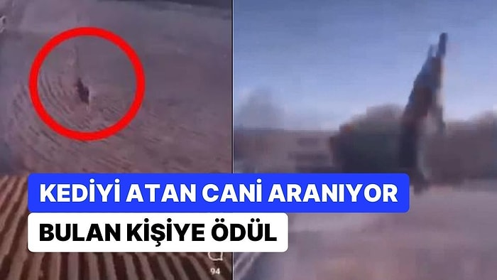 Kediyi Çatıdan Atan Cani Aranıyor! Haluk Levent: "Hayırseverimiz 25 Bin TL Ödül Vereceğini Açıkladı"