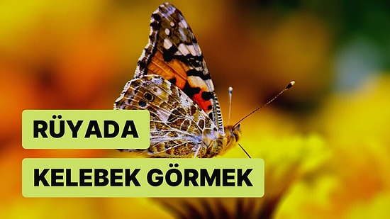 Rüyada Kelebek Görmek: Gerçek Sevgi ve Mutluluğa Ulaşacaksınız!