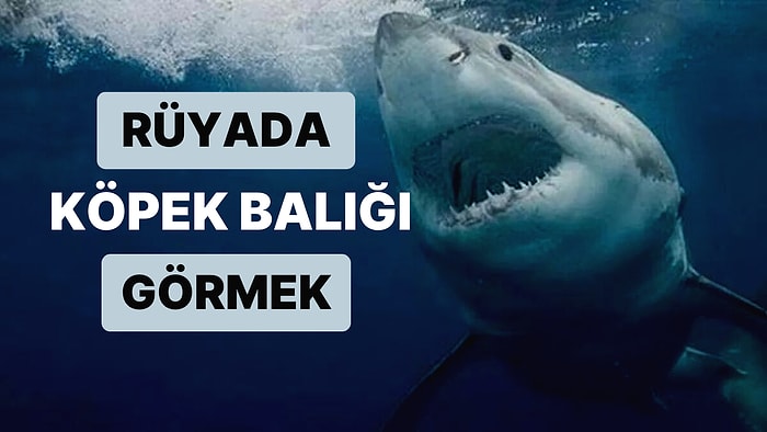 Rüyada Köpek Balığı Görmek: Çevrenizde İçten Pazarlıklı Kimseler mi Var?