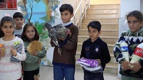 Bir İlkokul Öğrencisi Öğretmenine 24 Kasım Öğretmenler Günü Hediyesi Olarak Tavuk Verdi