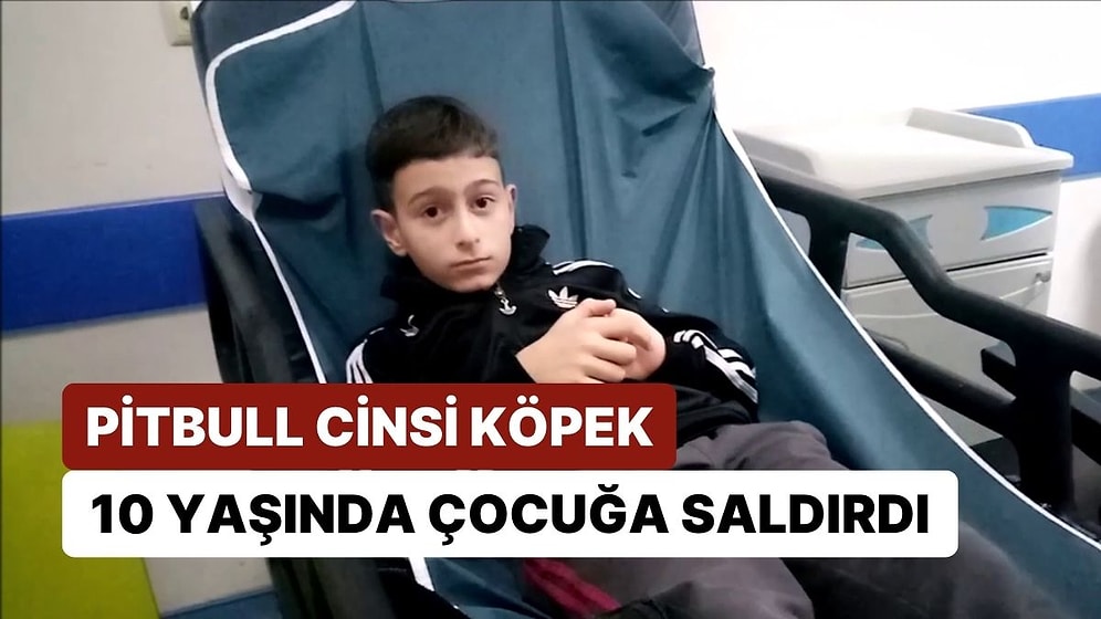 Sokakta Yürüyen 10 Yaşındaki Çocuğa Pitbull Cinsi Köpek Saldırdı