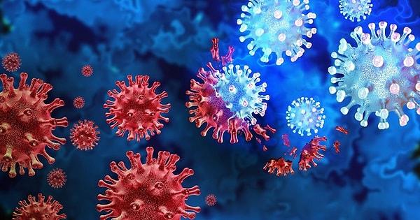 Uzmanlar korkmaya gerek olmadığını çünkü keşfedilen virüslerin yeni tedavi yöntemleriyle yok edilebileceğini söylüyor.