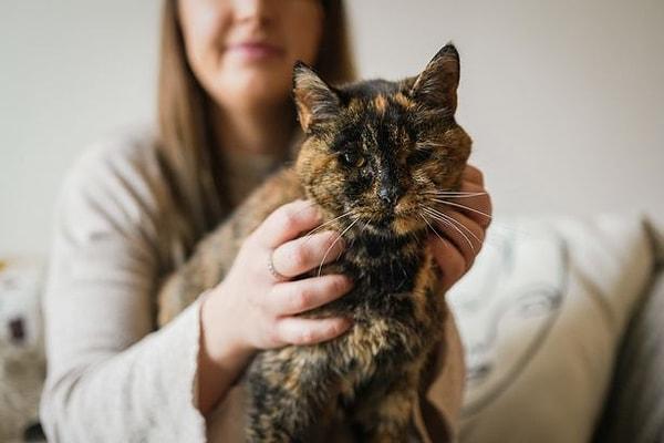 Cats Protection, daha sonra Flossie'yi, Londra'nın güneyinde yaşayan ve yaşlı kedilere bakma konusunda deneyimli olan Vicki'ye sahiplendirmiş.