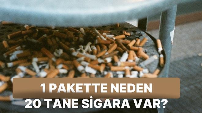 Her Gün Bir Yeni Bilgi: Bir Pakette Neden 20 Tane Sigara Var?