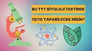 Bu TYT Biyoloji Testinden Full Çekebilecek misin?