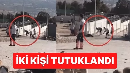 Konya’daki ‘Köpek Katliamı’ Skandalında İki Kişi Tutuklandı