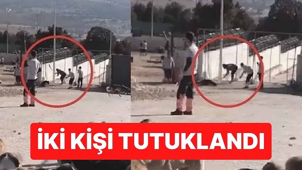 Konya’daki ‘Köpek Katliamı’ Skandalında İki Kişi Tutuklandı