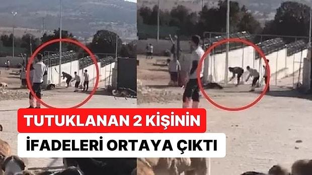 Konya’daki 'Köpek Katliamı'nda Tutuklanan 2 Kişinin İfadesi Ortaya Çıktı: "Kendimi Korumak İçin Vurdum"