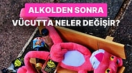 Alkol Aldıktan Sonra Neden Bunları Yaşıyorum Diyenlere: Alkol Aldıktan Sonra Vücudunuzda Neler Değişiyor?