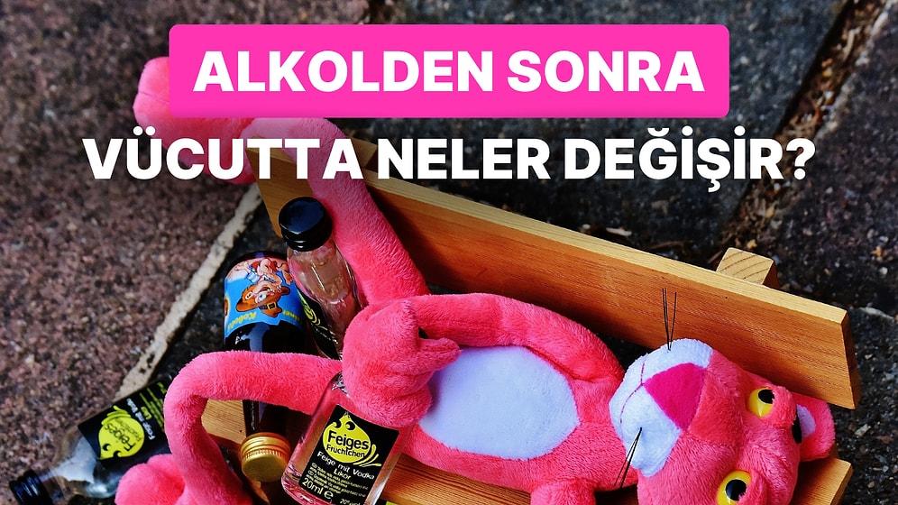 Alkol Aldıktan Sonra Neden Bunları Yaşıyorum Diyenlere: Alkol Aldıktan Sonra Vücudunuzda Neler Değişiyor?