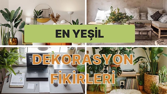 Evinizi Babil’in Asma Bahçelerine Dönüştürecek Ev Bitkisi Tasarımları