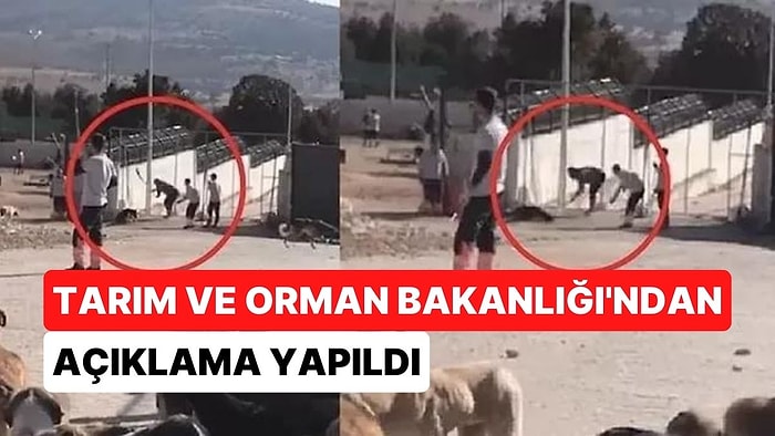 Tarım ve Orman Bakanlığı’ndan Açıklama: "Konya Hayvan Bakımevindeki Can Dostlarımıza Muayene Yapılacak"