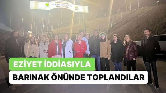 Köpeklere Eziyet Edildiği İddiasıyla Barınak Önünde Eylem Yaptılar: Mamak Belediyesi Açıklama Yaptı