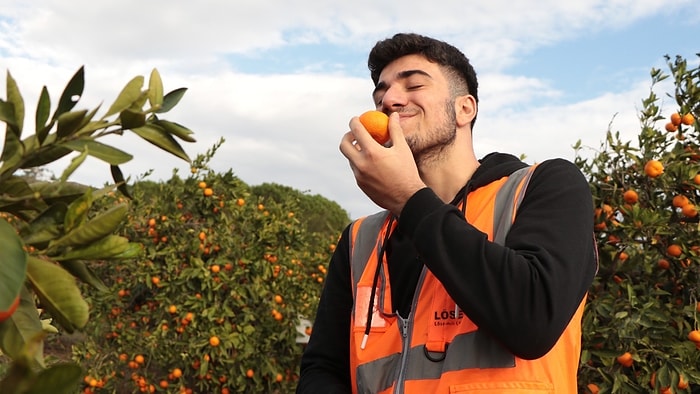 Her Diliminde Hayat Var! LÖSEV Satsuma Mandalinası Satışı Başladı