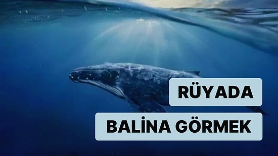 Rüyada Balina Görmek: İş Hayatınızda Kazançlı Günler Sizi Bekliyor!