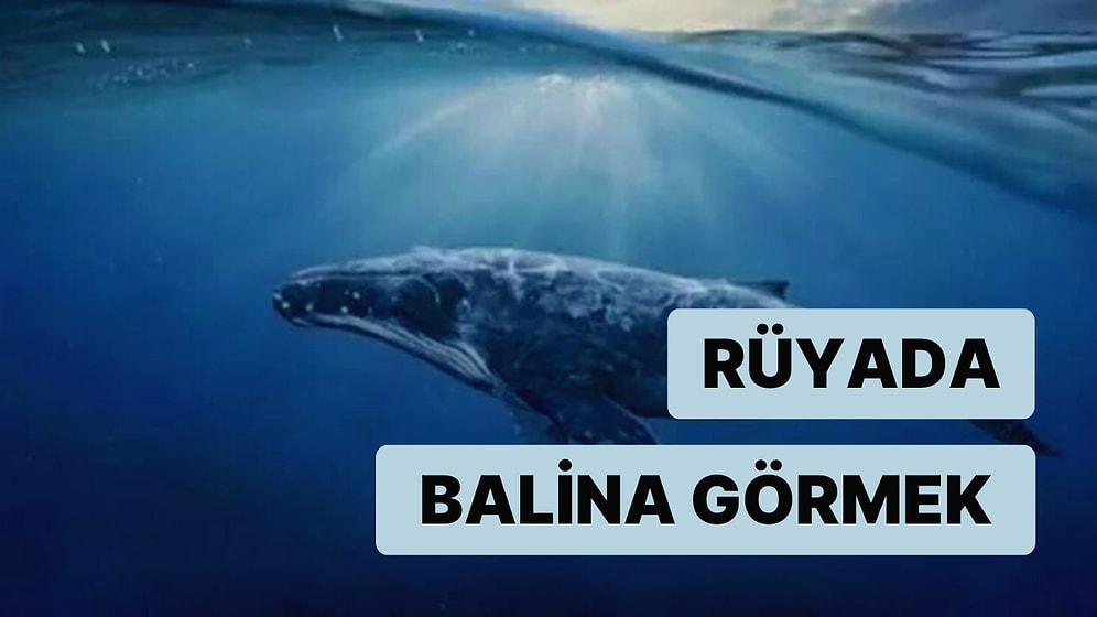 Rüyada Balina Görmek: İş Hayatınızda Kazançlı Günler Sizi Bekliyor!