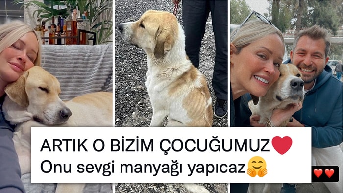 Meriç Keskin, Konya Barınağı'nda Başına Kürekle Vurulan Köpeklerden Birini Sahiplendi!