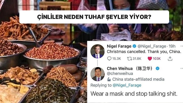 "Onu da Yemezsin" Dediğimiz Ne Varsa... Çin Yemek Terapisi Nedir ve Neden Tuhaf Şeyler Yiyorlar?