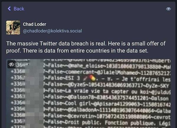 Chad Loder isimli Mastodon kullanıcısı da çalınan verileri indirerek kontrol ettiğini ve bilgilerin bu şekilde sıralandığını gösteriyor.