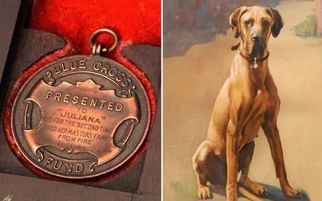 Muhtemelen Daha �nce Duymad���n�z Tarihin Tozlu Sayfalar� Aras�nda Kalan Ger�ekler