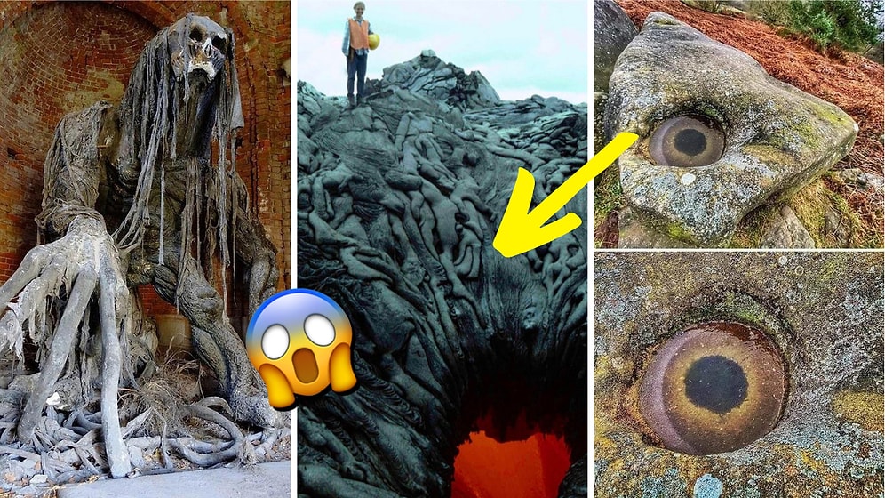 Baktığınız Anda Sebepsiz Yere Tüylerinizi Diken Diken Edip Tuhaflık Sınırlarınızı Zorlayacak 15 Görsel