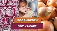 Ağlamıyorum Gözüme Soğan Kaçtı! Soğan Kesmek Neden Göz Yakar? Soğanın Göz Yakmaması İçin Neler Yapılır?