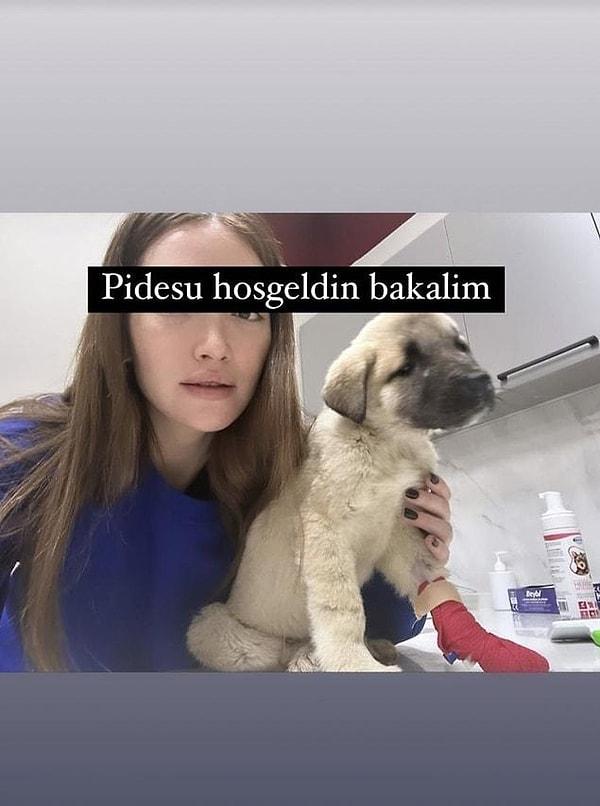 Pideyi çok sevdiği için Pide Su adını verdiği yavru köpeği almaya Ankara'ya giden Danla, Pide Su'yu alarak İstanbul'a gelmişti.