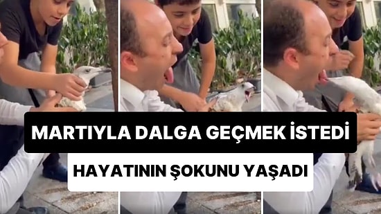 Martıyı Eline Alarak Dalga Geçen Adamın Hayatının Şokunu Yaşadığı Anlar