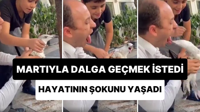 Martıyı Eline Alarak Dalga Geçen Adamın Hayatının Şokunu Yaşadığı Anlar