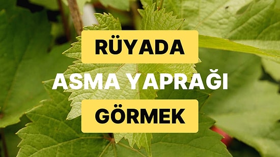 Rüyada Asma Yaprağı Görmek: Hayırlı Bir Kısmet Çok Yakında Kapınızda!