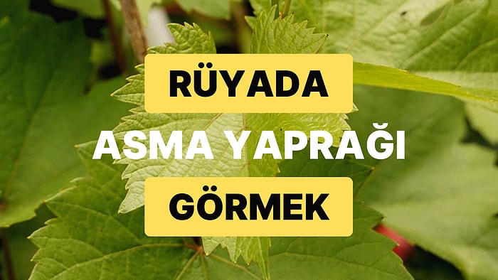Rüyada Asma Yaprağı Görmek: Hayırlı Bir Kısmet Çok Yakında Kapınızda!