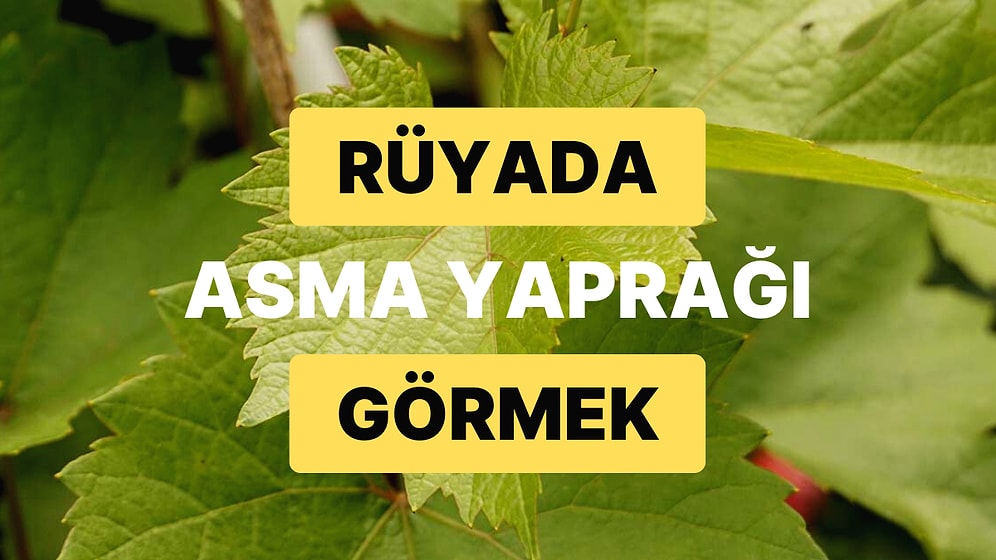 Rüyada Asma Yaprağı Görmek: Hayırlı Bir Kısmet Çok Yakında Kapınızda!