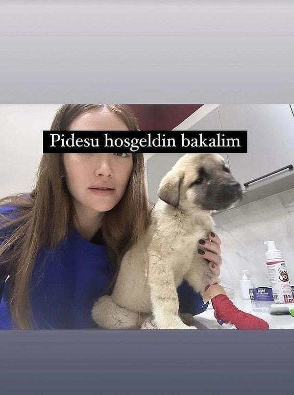 Danla Bilic, pideyi çok sevdiği için Pide Su ismini verdiği yavru köpeği almak için İstanbul'dan Ankara'ya gitmişti.