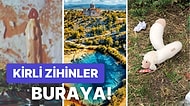 Hayır Bu Fotoğraflar Erotik Değil! Fesat Beynimizin Olmadık Anlamlar Çıkardığı 15 Acayip Görsel