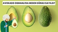 Osmanlı'da Yetiştirilirken Günah Sayıldığı İçin Ağaçları Yakılan Avokado Meyvesinin Hikâyesi