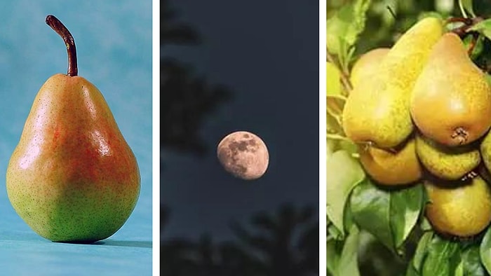 Rüyada Armut Yemek: İsteklerinizin Gerçekleşeceği ve Kısmetinizin Açılacağı Bir Döneme Hazır Olun!