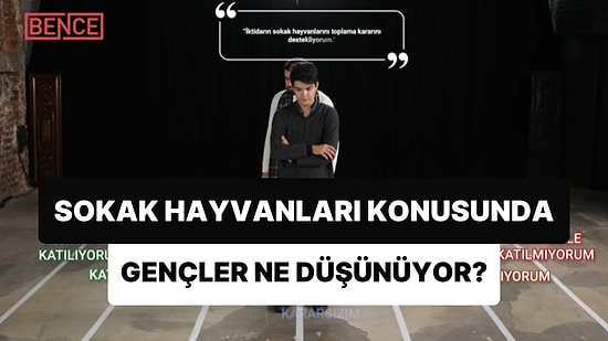 Farklı İdeolojik Görüşlerden Gençler Cevaplıyor: Gençler, Hayvan Hakları Konusunda Ne Düşünüyor?