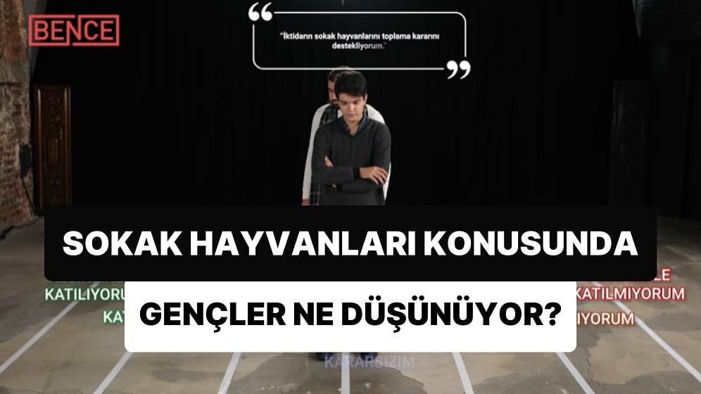 Farklı İdeolojik Görüşlerden Gençler Cevaplıyor: Gençler, Hayvan Hakları Konusunda Ne Düşünüyor?