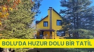 Doğa İle Baş Başa Huzurlu Bir Tatil: Bolu'da Kiralık Villa ve Dağ Evleri