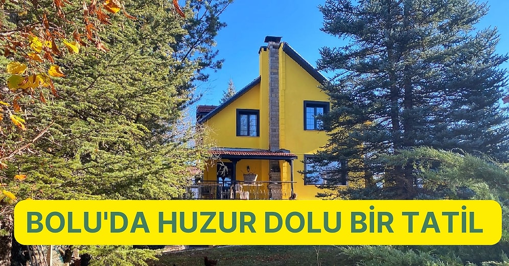 Doğa İle Baş Başa Huzurlu Bir Tatil: Bolu'da Kiralık Villa ve Dağ Evleri