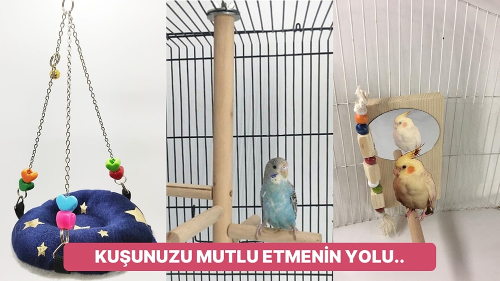 Kuş Dostlarımızın Görünce Sevinçten Çırpınacağı Ürün Önerileri