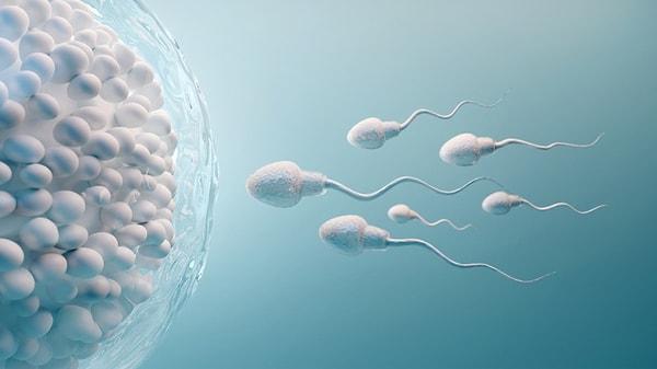 Sperm sayısı tek başına bir doğurganlık göstergesi değil ama en önemli etkenlerden biri. Bir erkeğe sperm testi yapıldığında bakılan üç önemli parametre bulunuyor. Bunlar sperm sayısının yanı sıra sperm hareketliliği ve sperm yapısı.