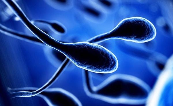 Sperm sayısının yarıdan fazla azaldığı son elli yılda insanların yaşam tarzında da köklü değişiklikler yaşandığı yadsınamaz bir gerçek.