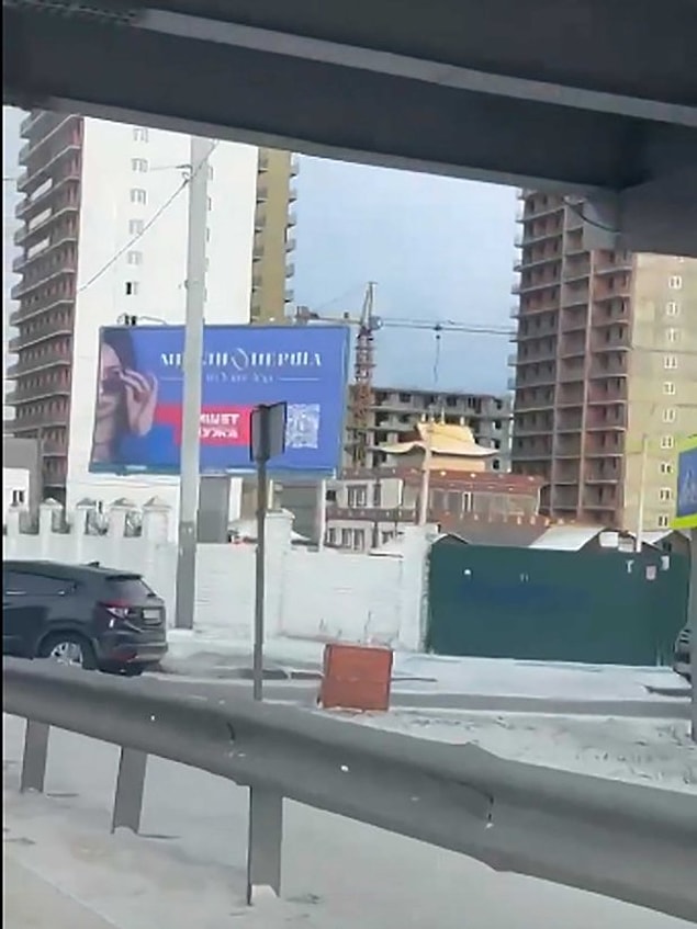 Oluşturduğu başvuru formunun üstünde 'Hayatınızın en güzel randevusu için başvuru' yazıyordu, isim, yaş ve aile durumu soran formda aynı zamanda penis boyutu, gelir düzeyi gibi sorular da vardı.