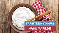 Yoğurt Yapmak İçin Başka Bir Yoğurda İhtiyaç Varken Tarihteki İlk Yoğurt Nasıl Yapılmıştır?