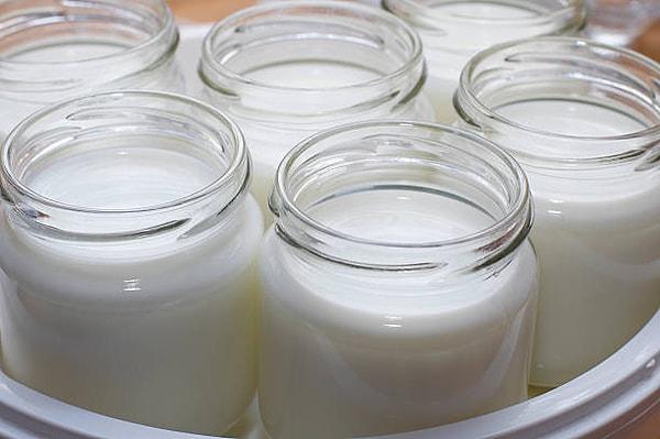 16.yüzyılda yoğurt Fransa’da da ilaç olarak tanınmıştır.
