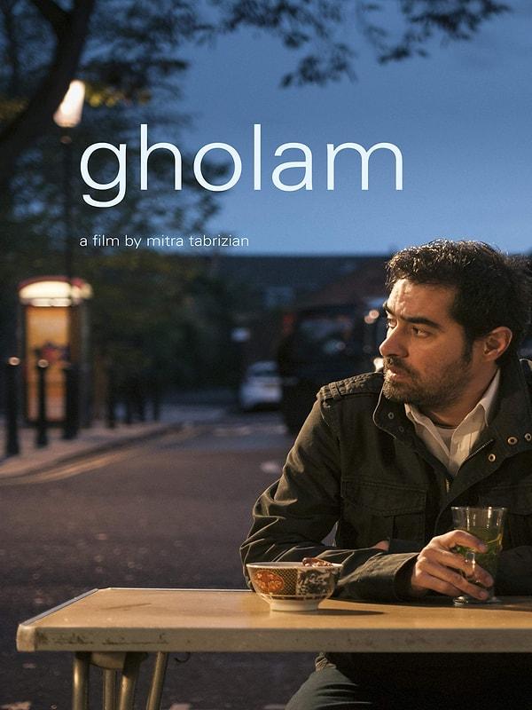 8. Gholam (2017)