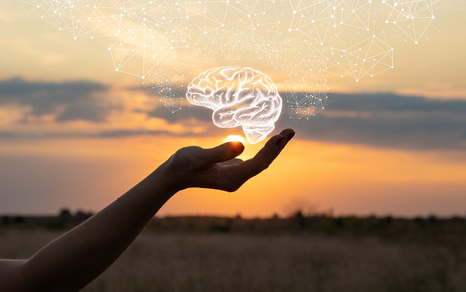 Всего 5% населения могут правильно ответить на все вопросы этого теста. А вы в их числе?