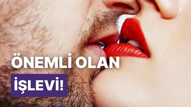 Cinsel İlişki Sırasında Dilinizi En Etkili Şekilde Kullanmak İçin Denemeniz Gereken 10 Yol